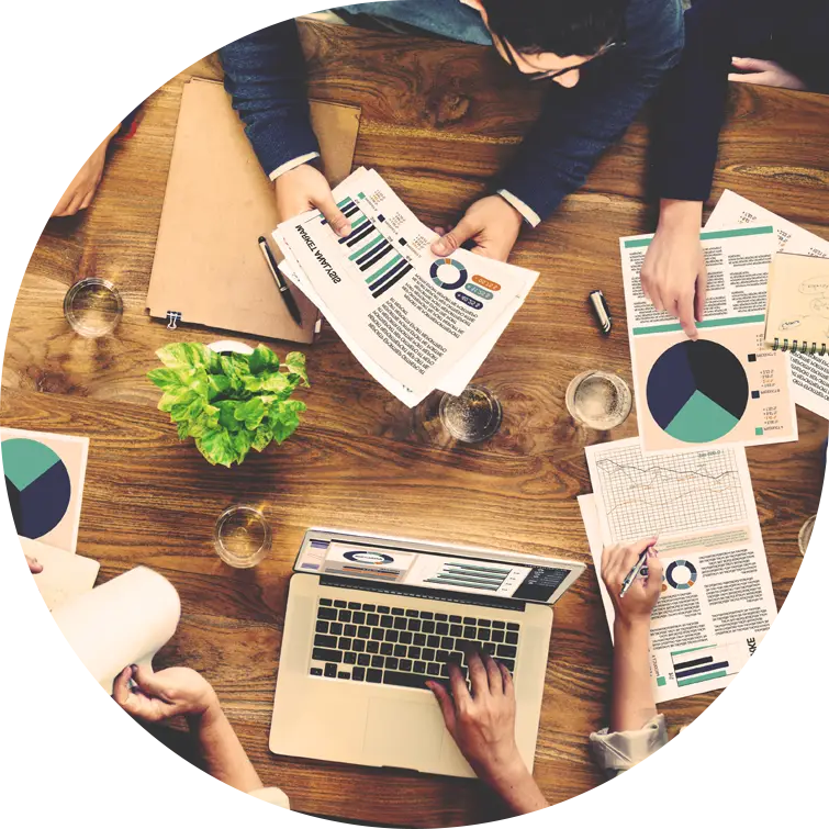 A Stakeholder Observatory Group (SOG)